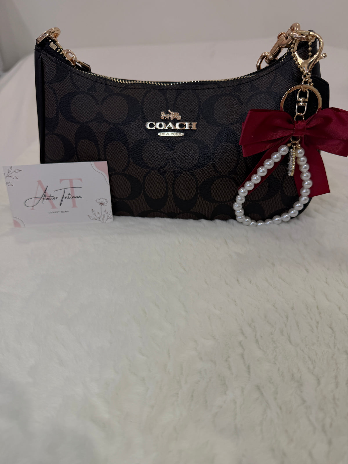 Vista del bolso Coach